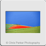Landscapes» South Downs 02.gif