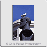 Miscellaneous» Seagull on statue Worthing.gif